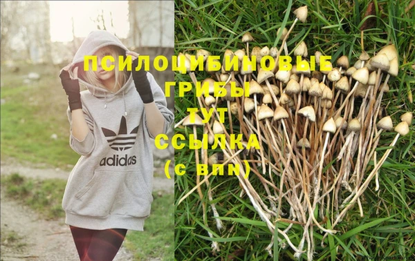 PSILOCYBIN Алексин