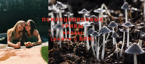 PSILOCYBIN Алексин