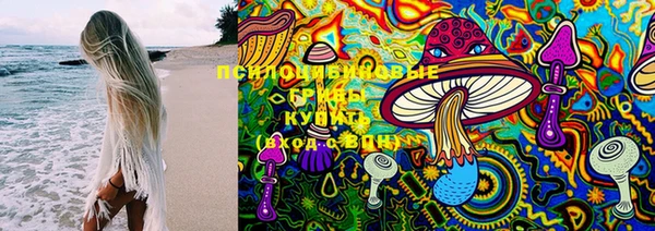 PSILOCYBIN Алексин