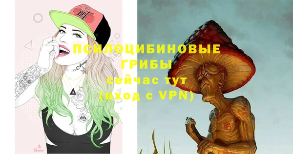 PSILOCYBIN Алексин